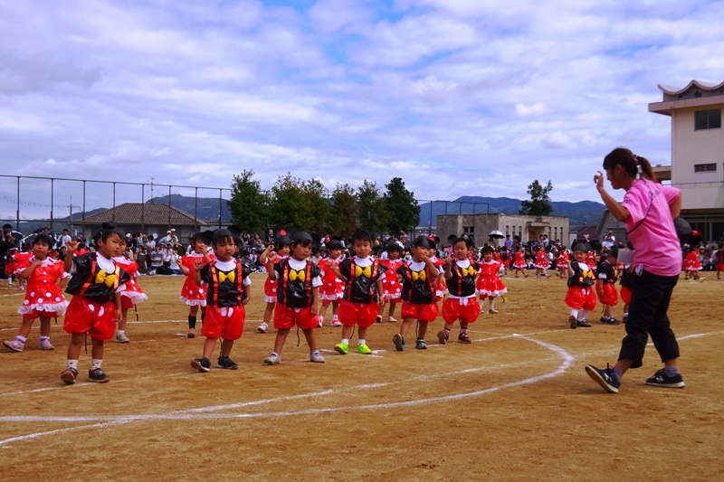 新清和台幼稚園 園からのニュース おしらせ